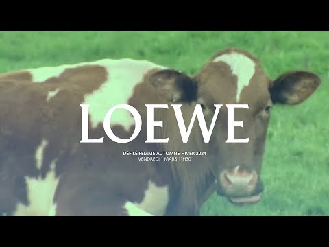 LOEWE Fall Winter 2024 women’s runway collection